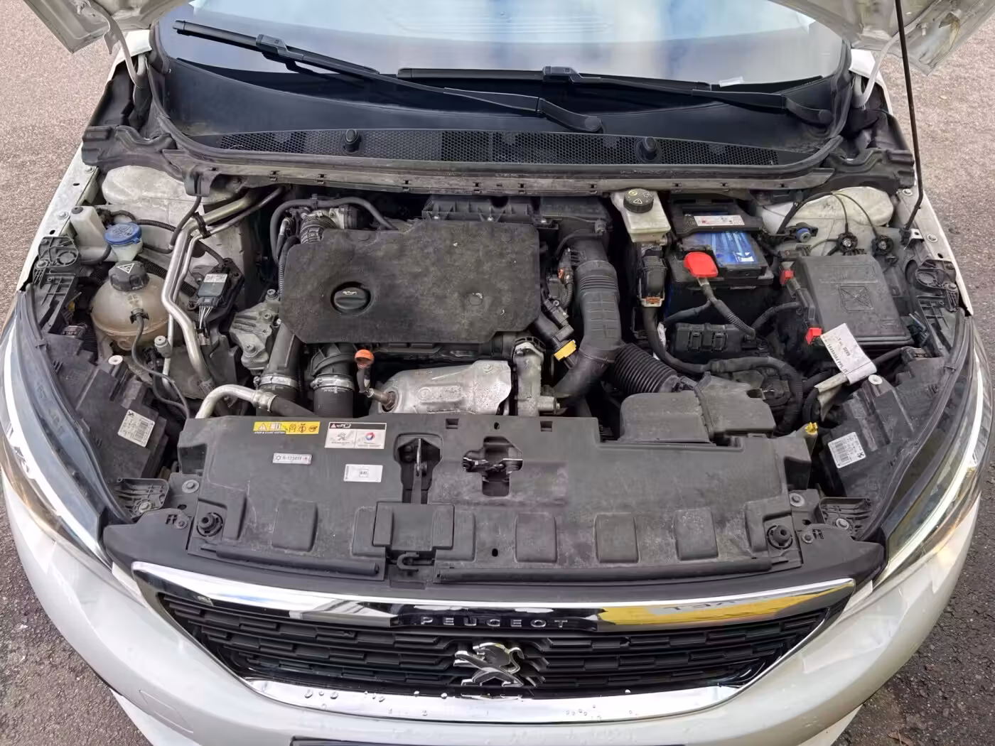 Peugeot 308 фото 19