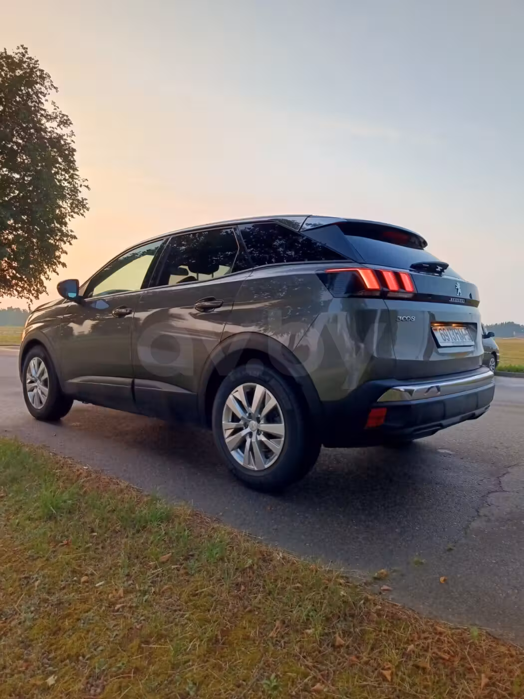 Peugeot 3008 фото 3