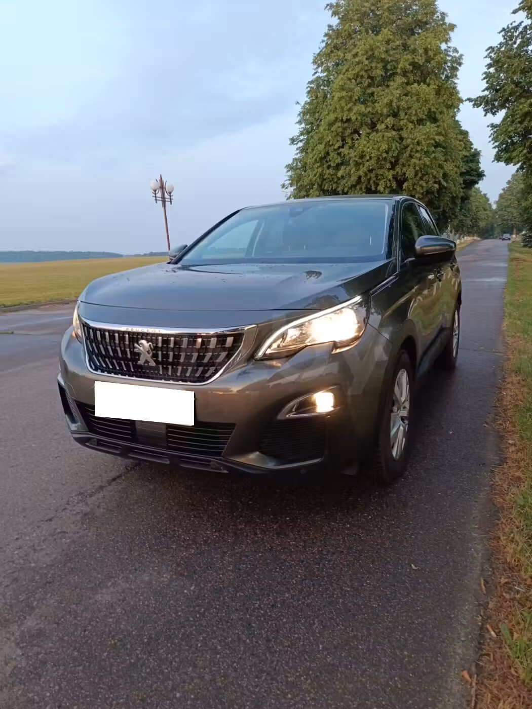 Peugeot 3008 фото 2