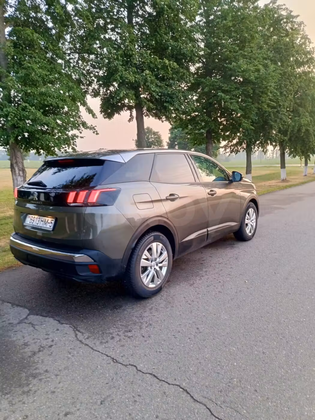 Peugeot 3008 фото 4