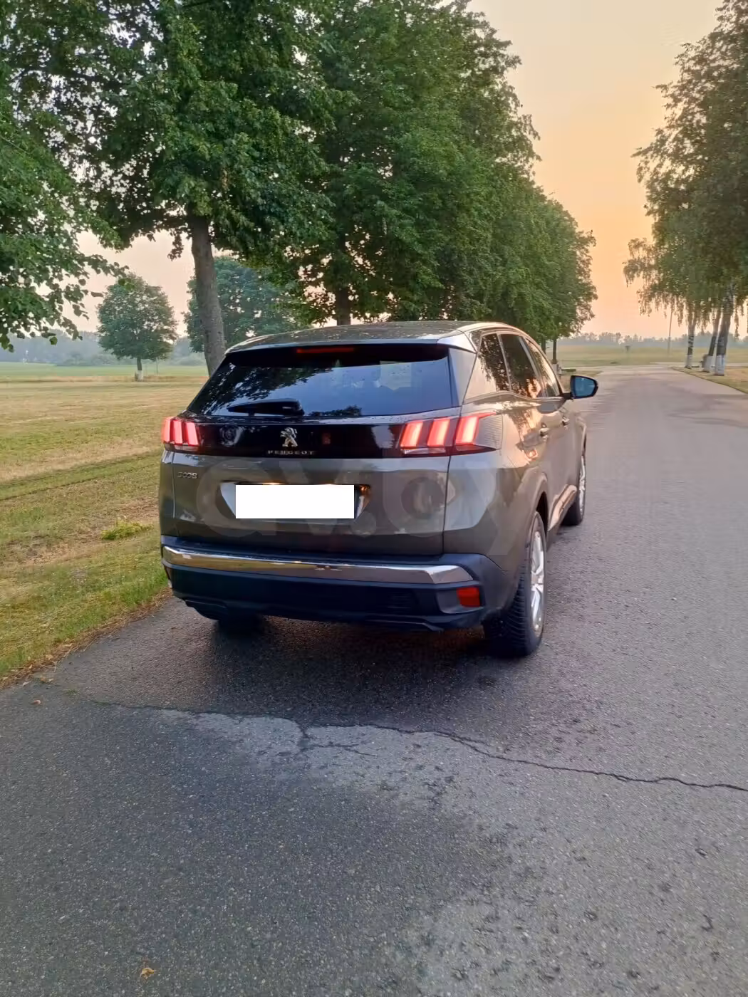 Peugeot 3008 фото 12