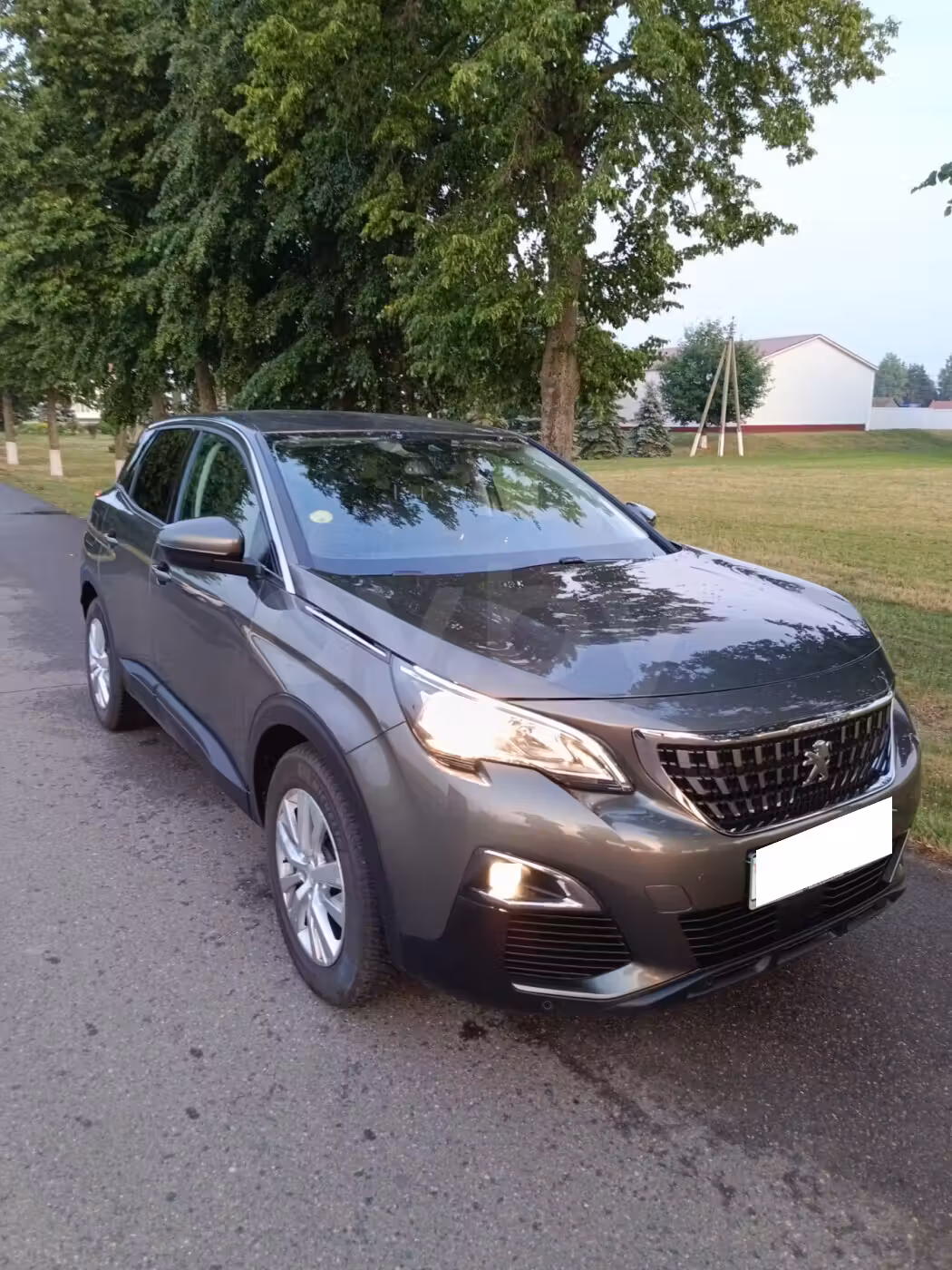 Peugeot 3008 фото 8