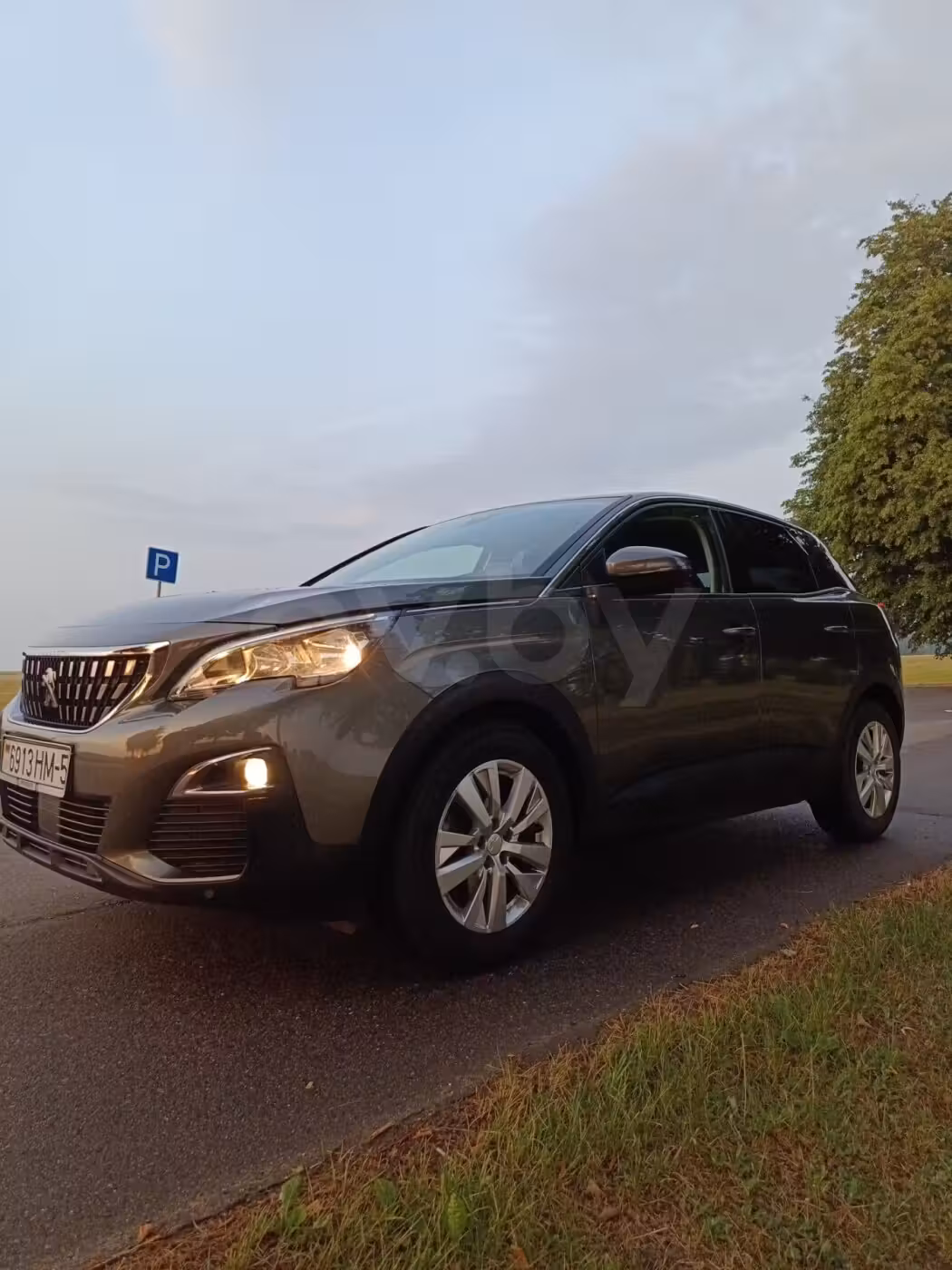 Peugeot 3008 фото 11