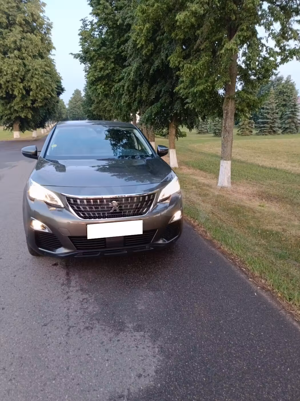 Peugeot 3008 фото 9