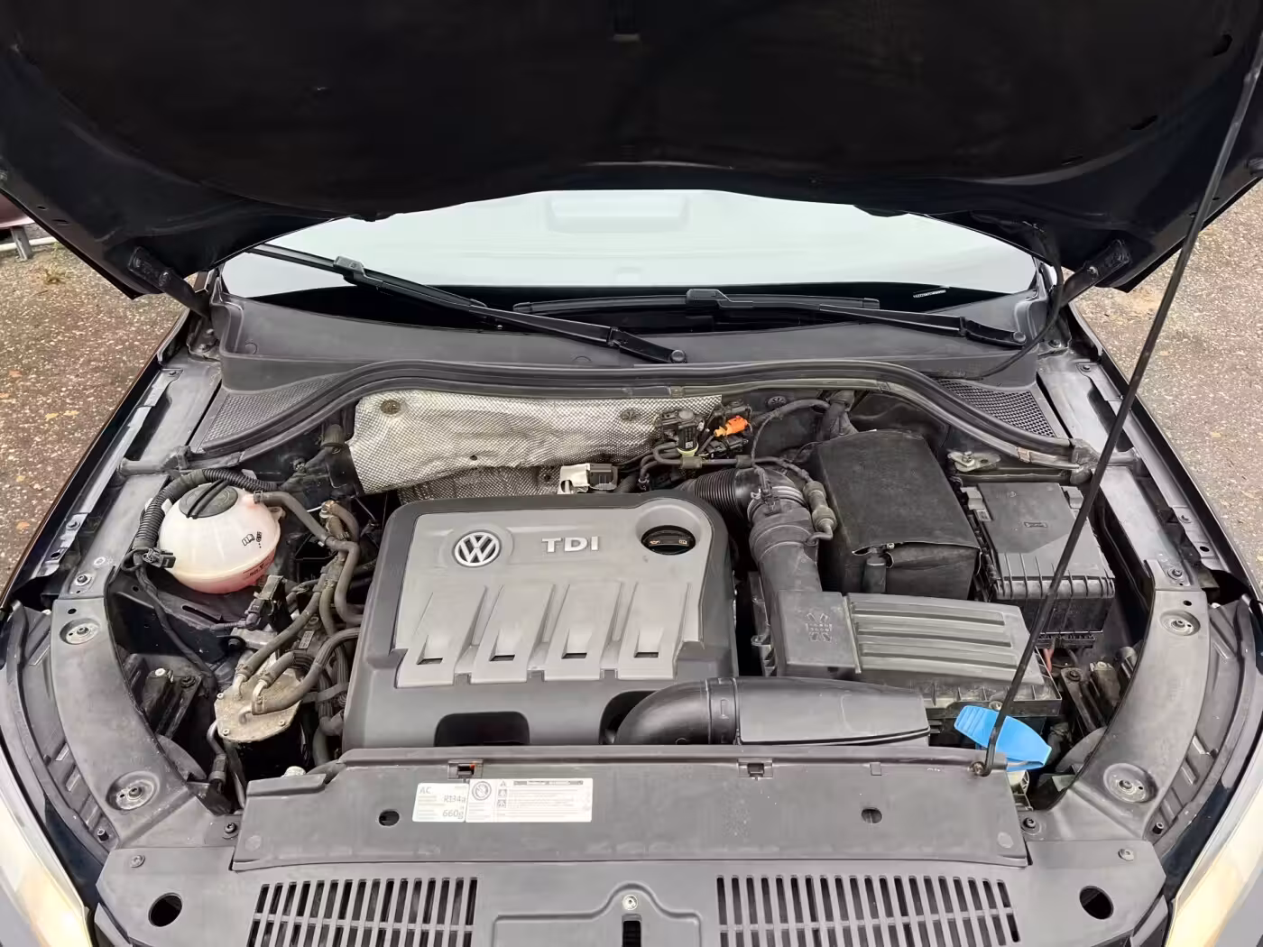 Volkswagen Tiguan фото 15