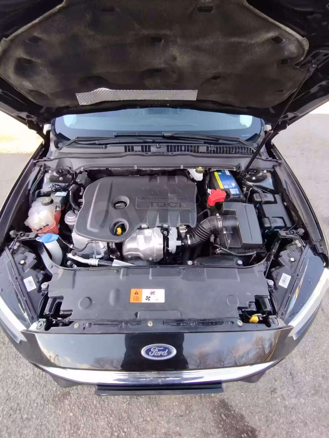 Ford Mondeo фото 22
