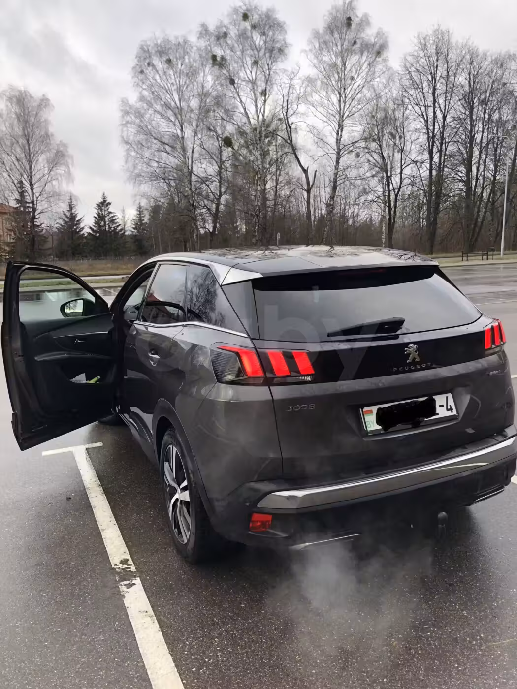 Peugeot 3008 фото 4