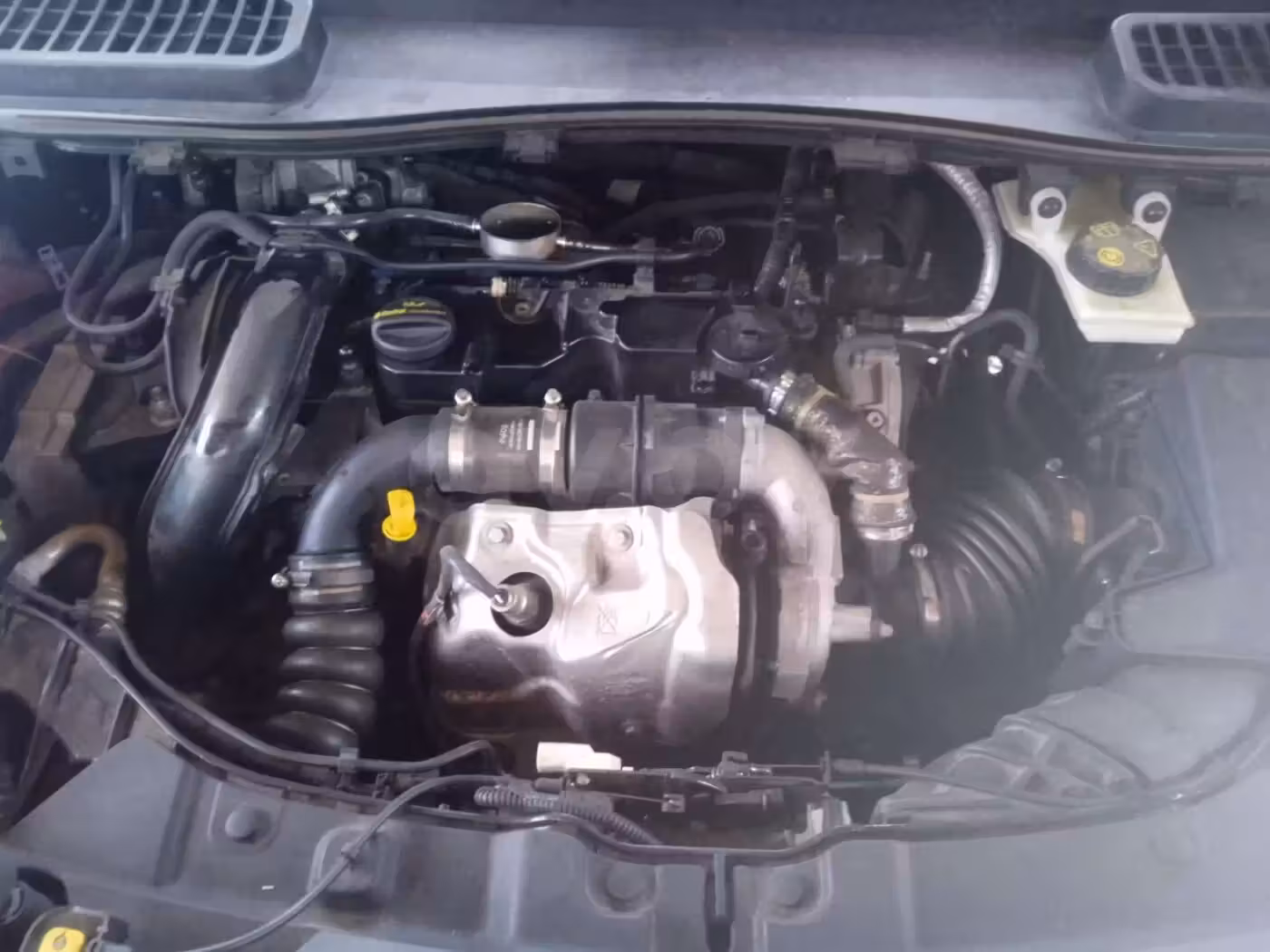 Ford Kuga фото 15