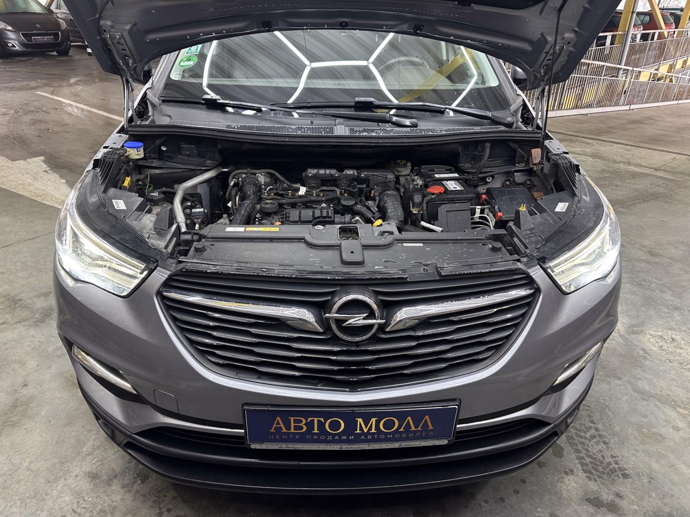 Opel Grandland X фото 30