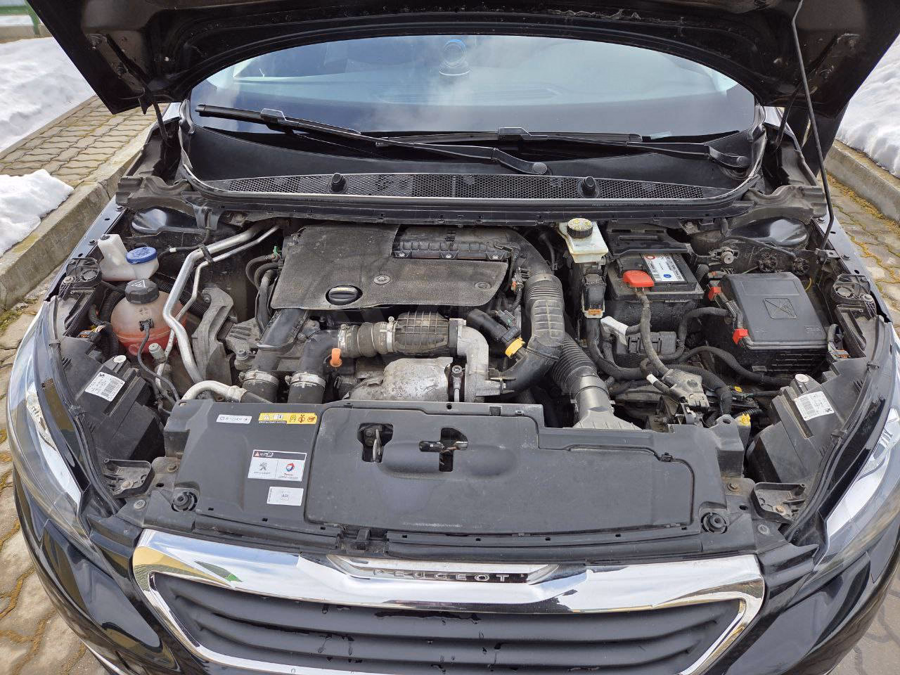 Peugeot 308 фото 8