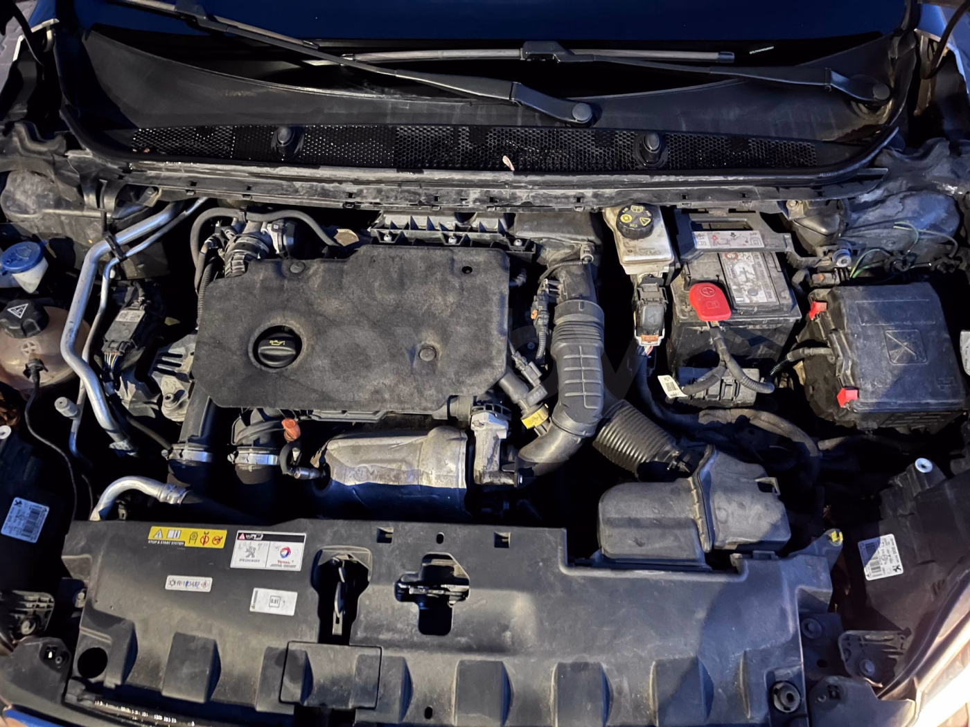 Peugeot 308 фото 11