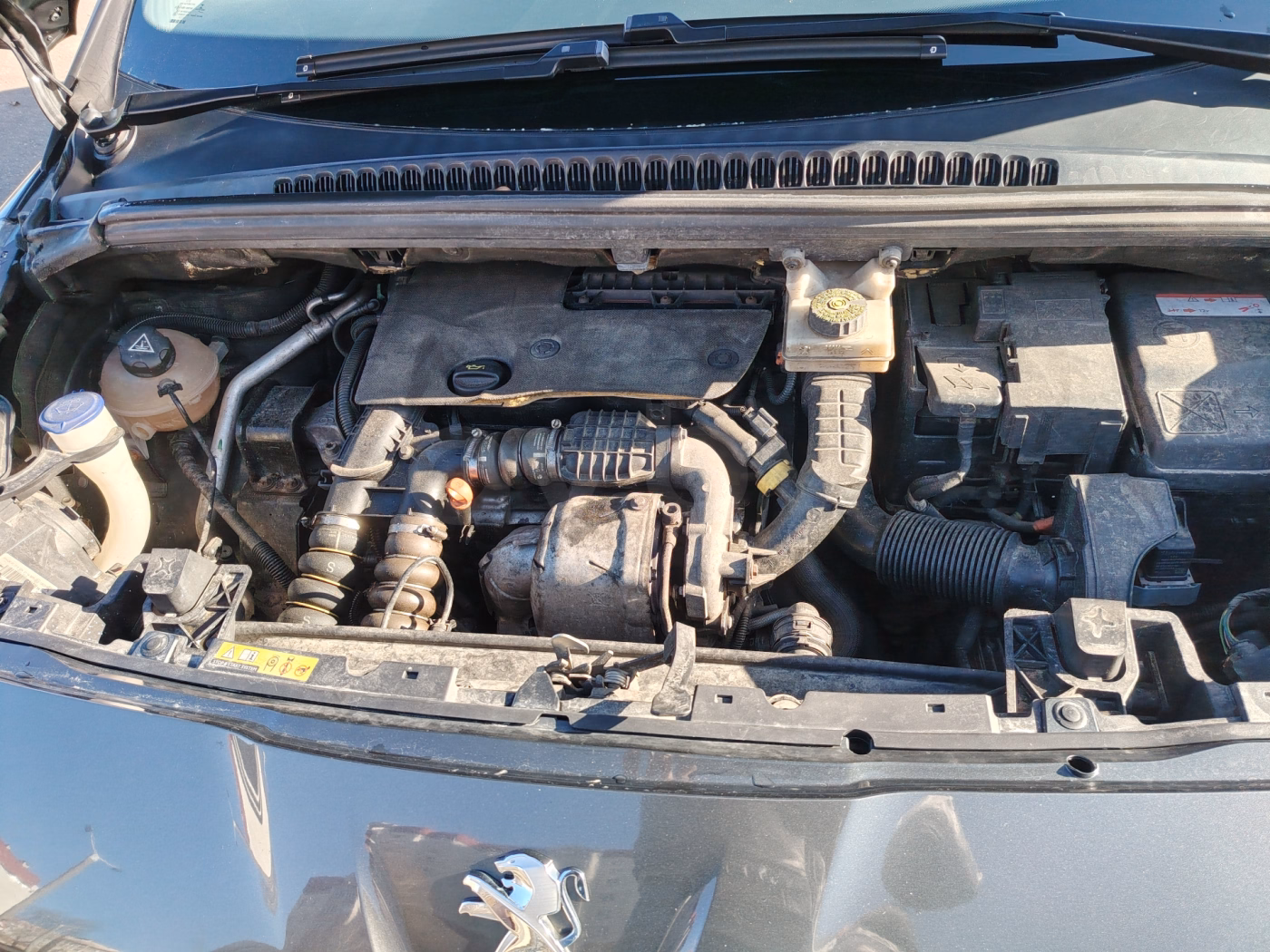 Peugeot 5008 фото 12
