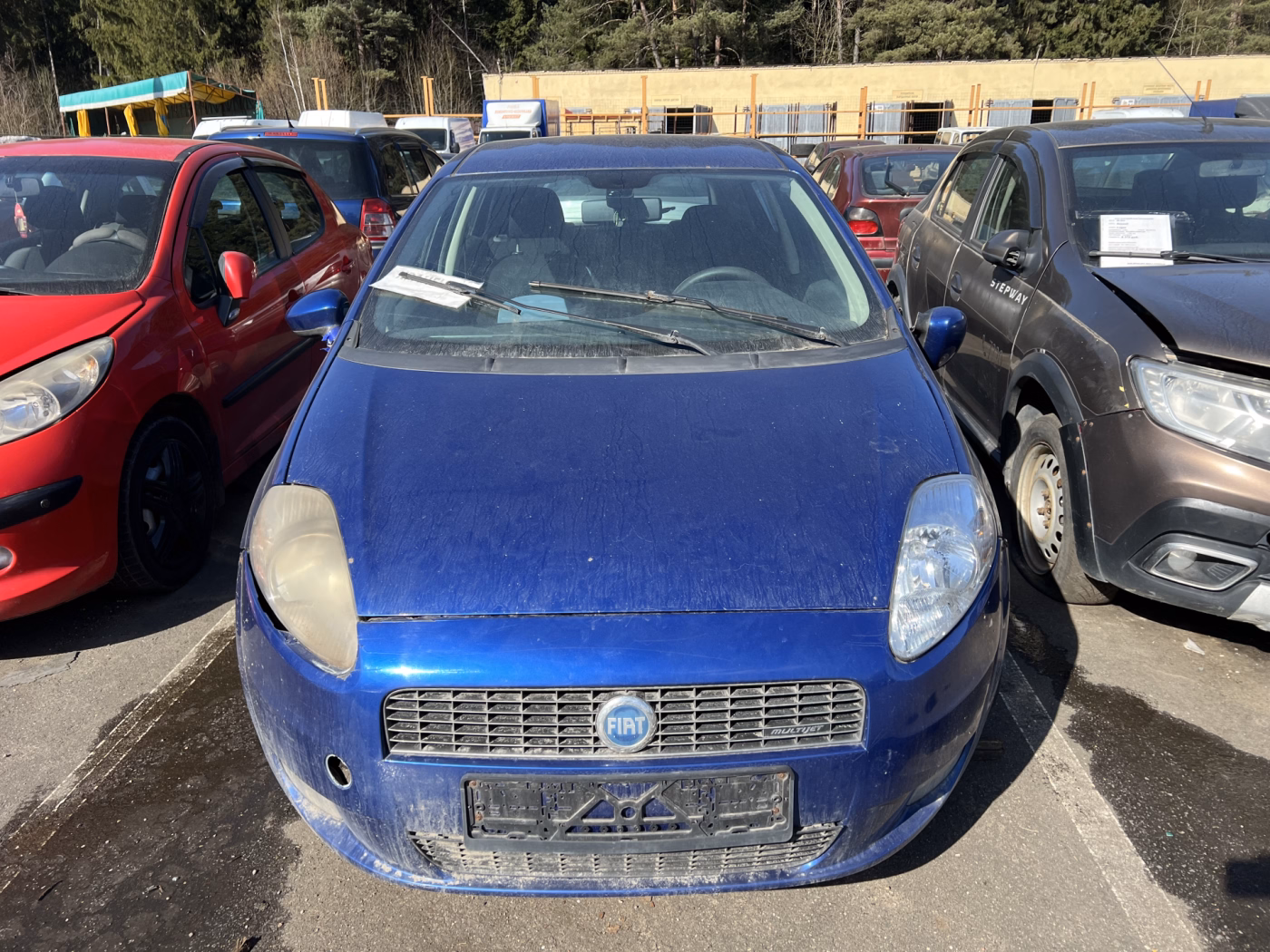 Fiat Punto фото 2