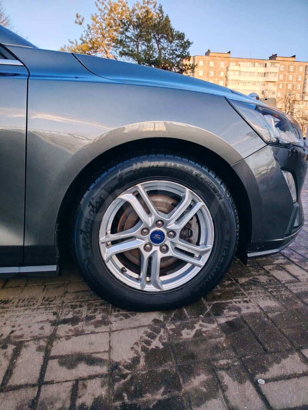Ford Focus фото 14