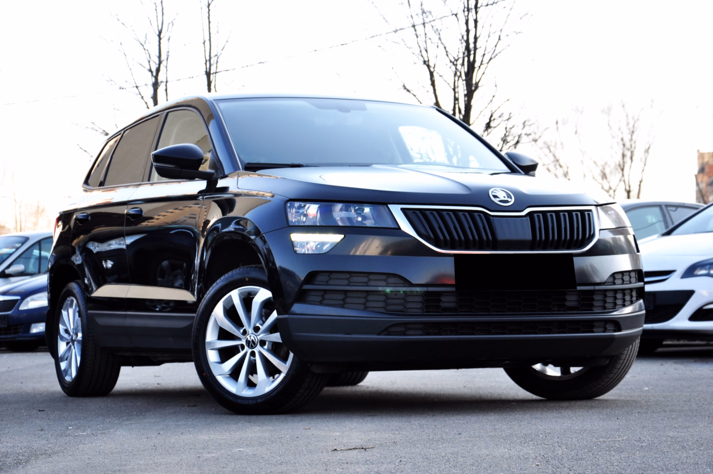 Skoda Karoq фото 2