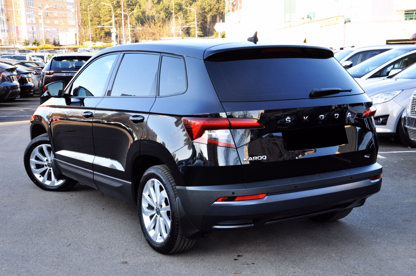 Skoda Karoq фото 6