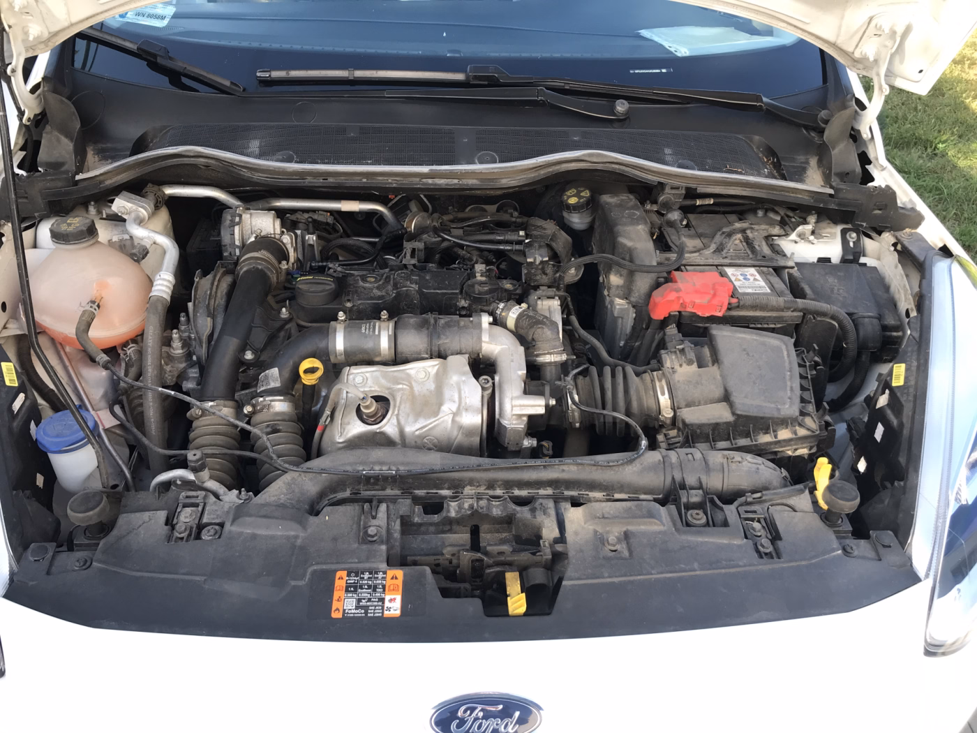 Ford Fiesta фото 6