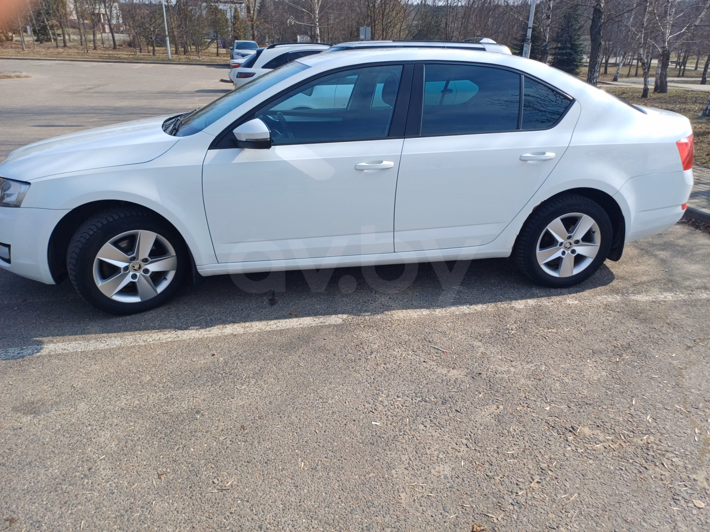Skoda Octavia фото 4