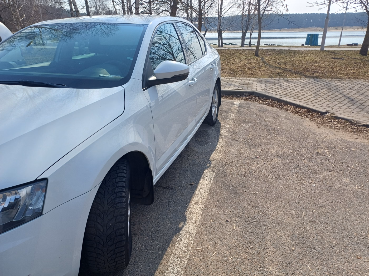 Skoda Octavia фото 7