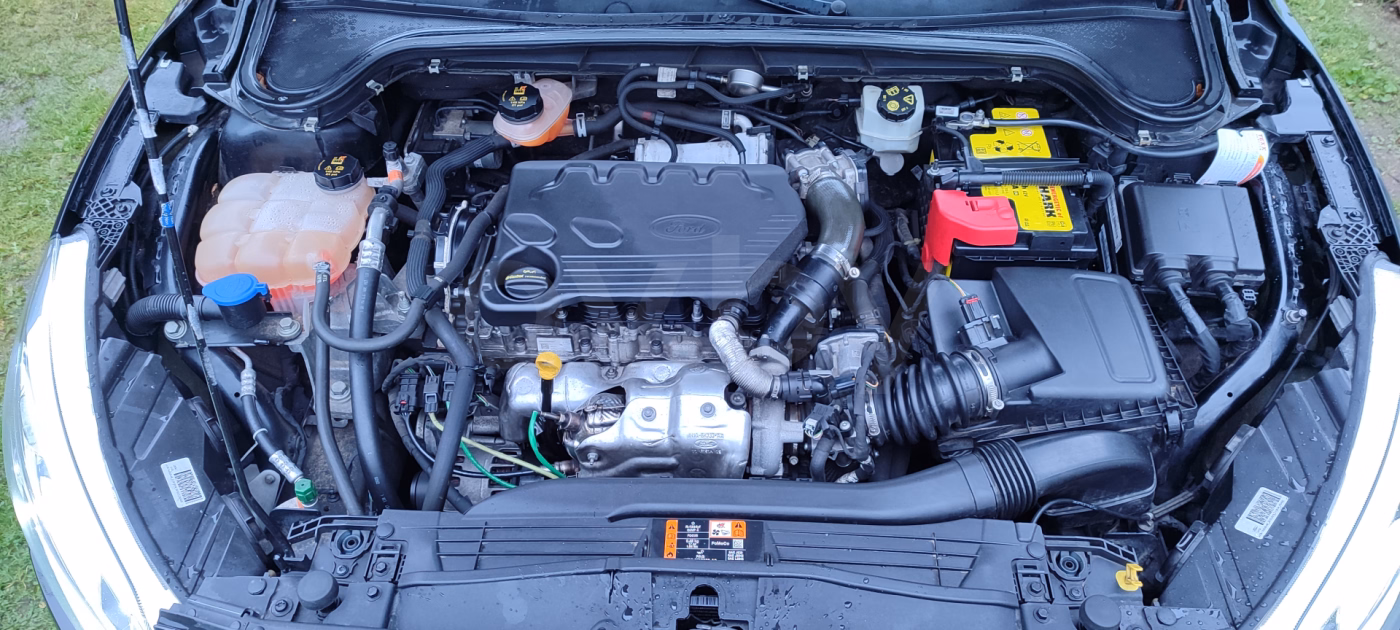 Ford Focus фото 6