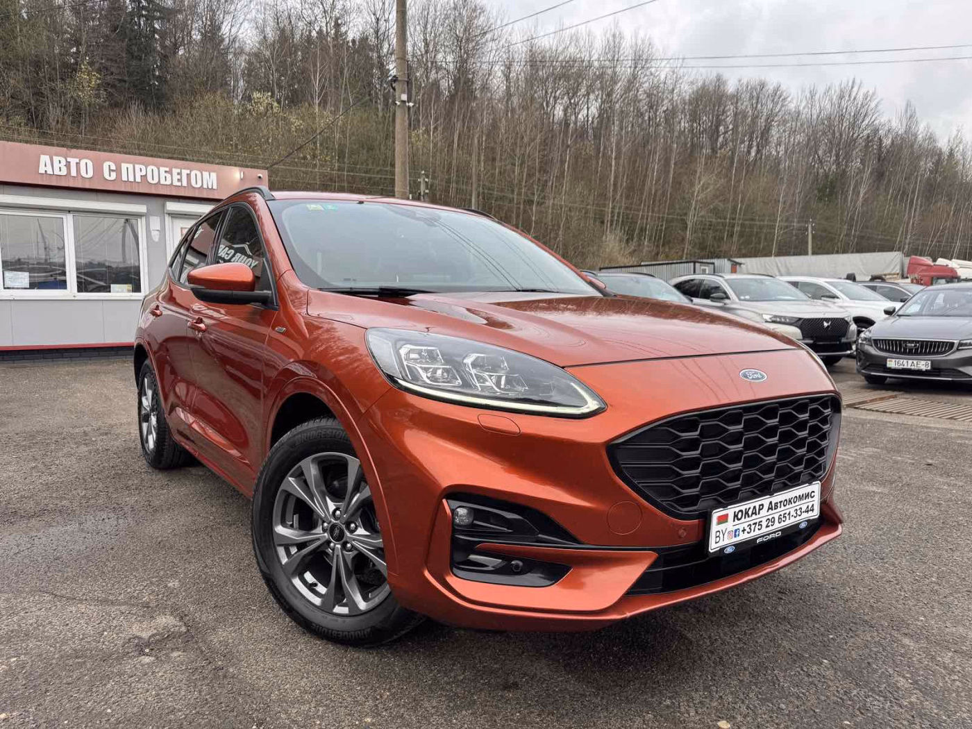 Ford Kuga фото 3