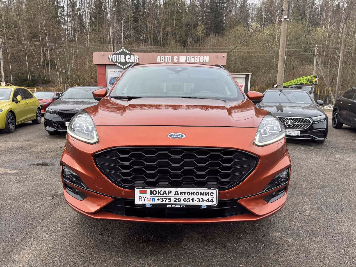 Ford Kuga фото 2