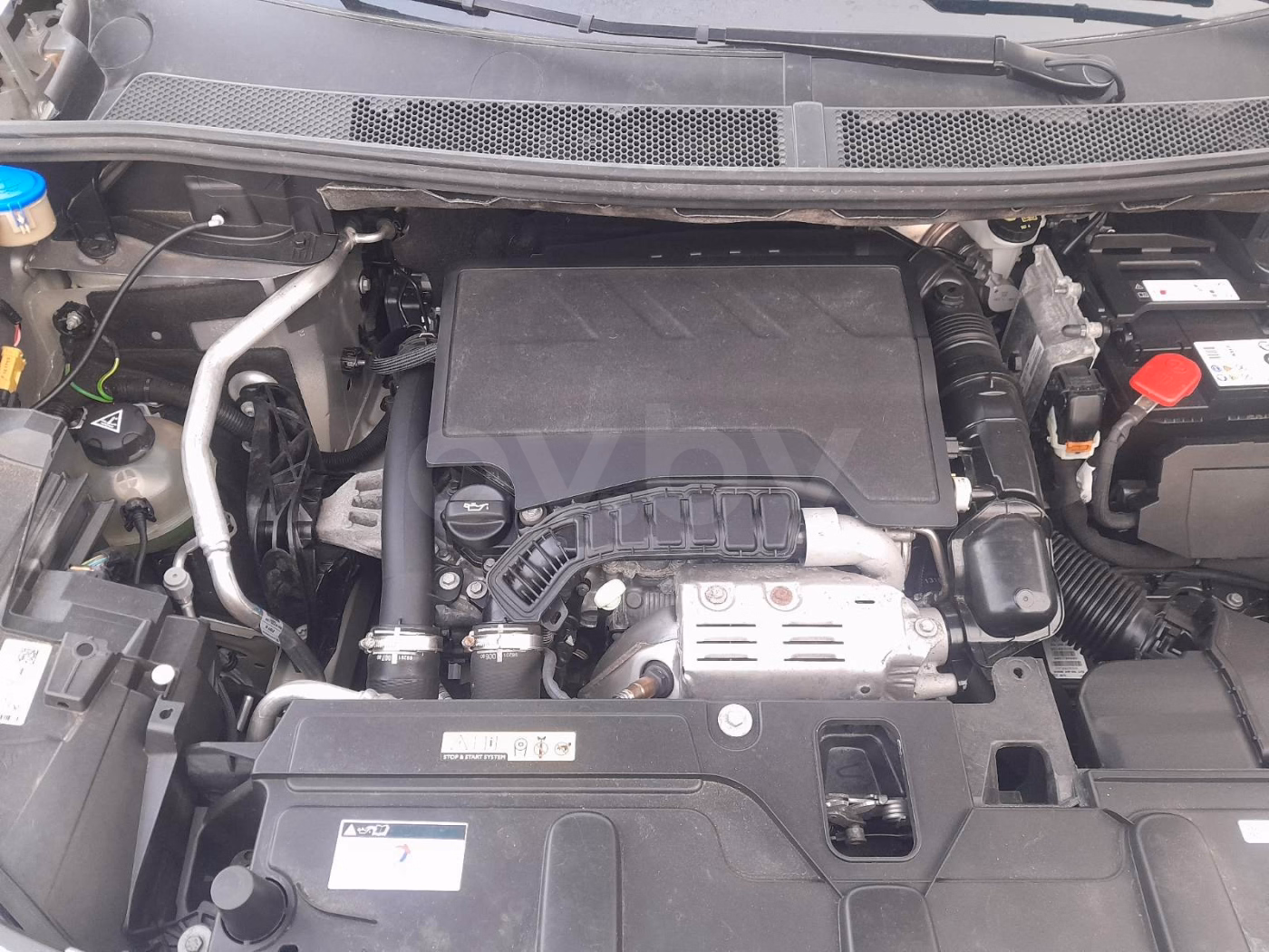 Peugeot 3008 фото 13