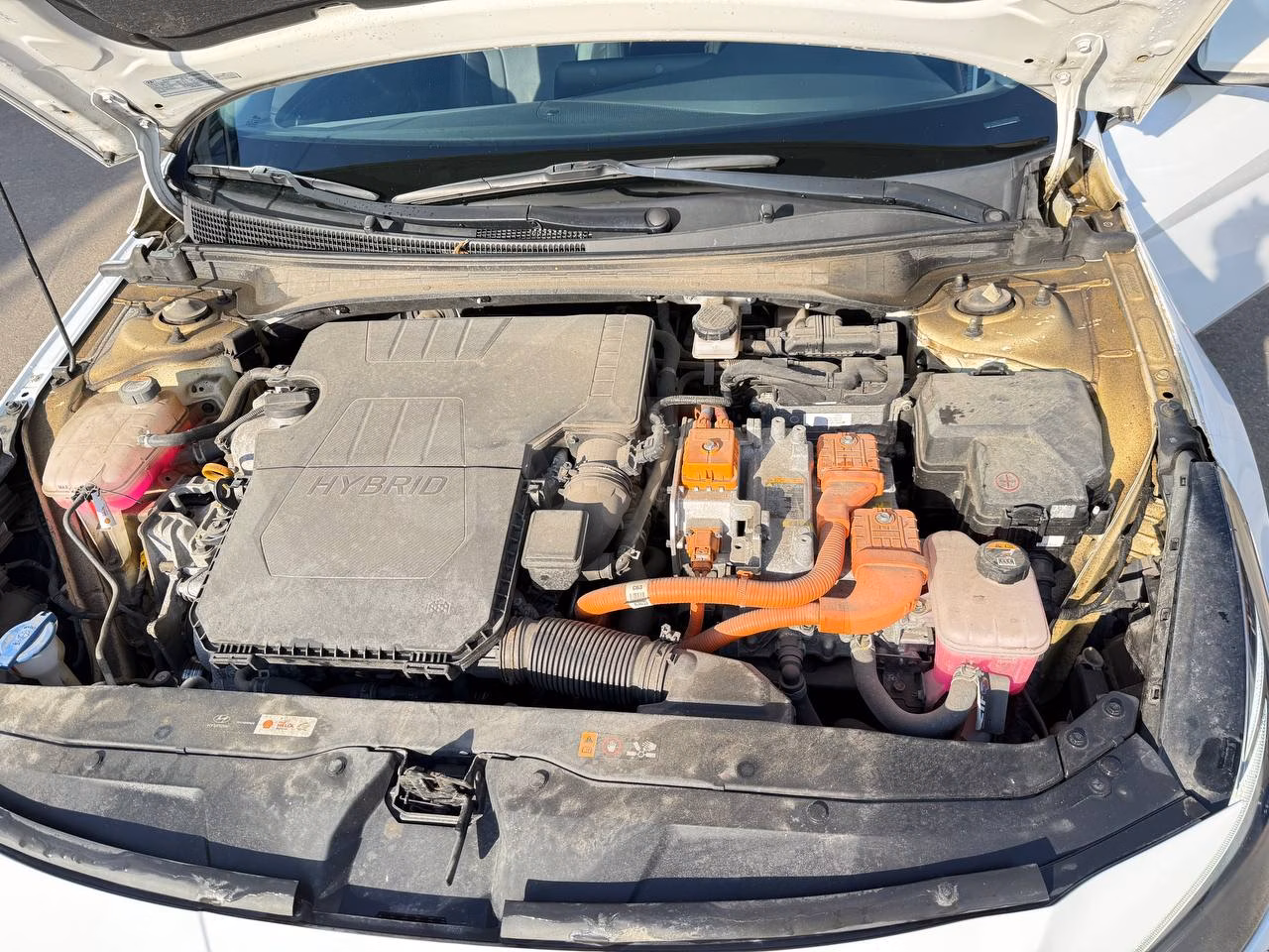 Hyundai Elantra фото 10