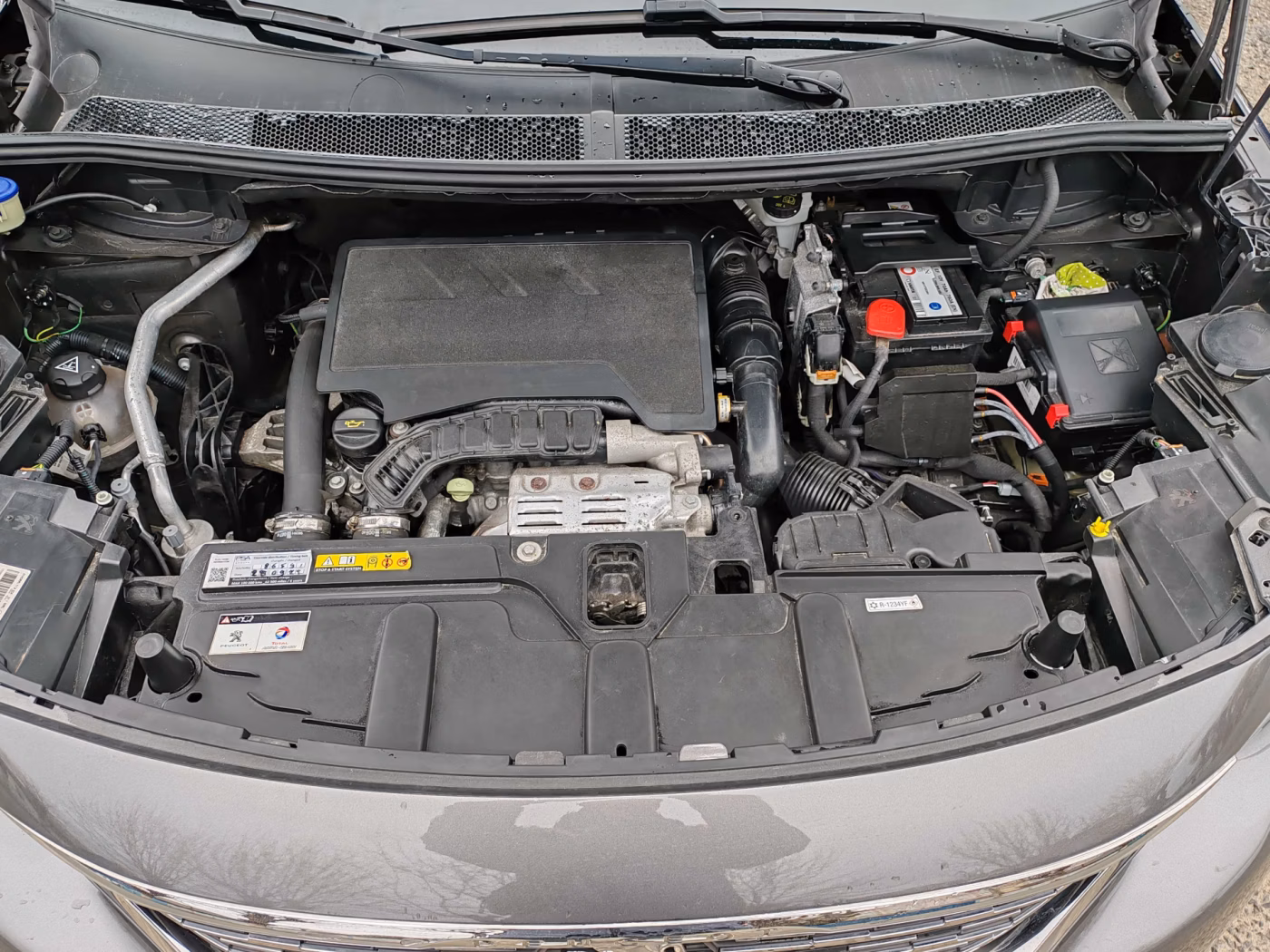Peugeot 5008 фото 12