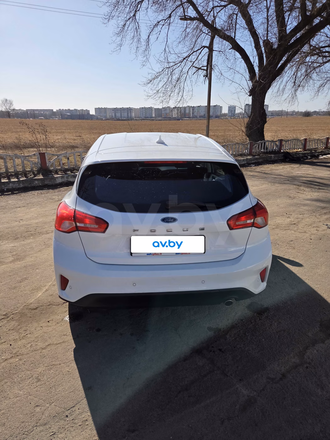 Ford Focus фото 4