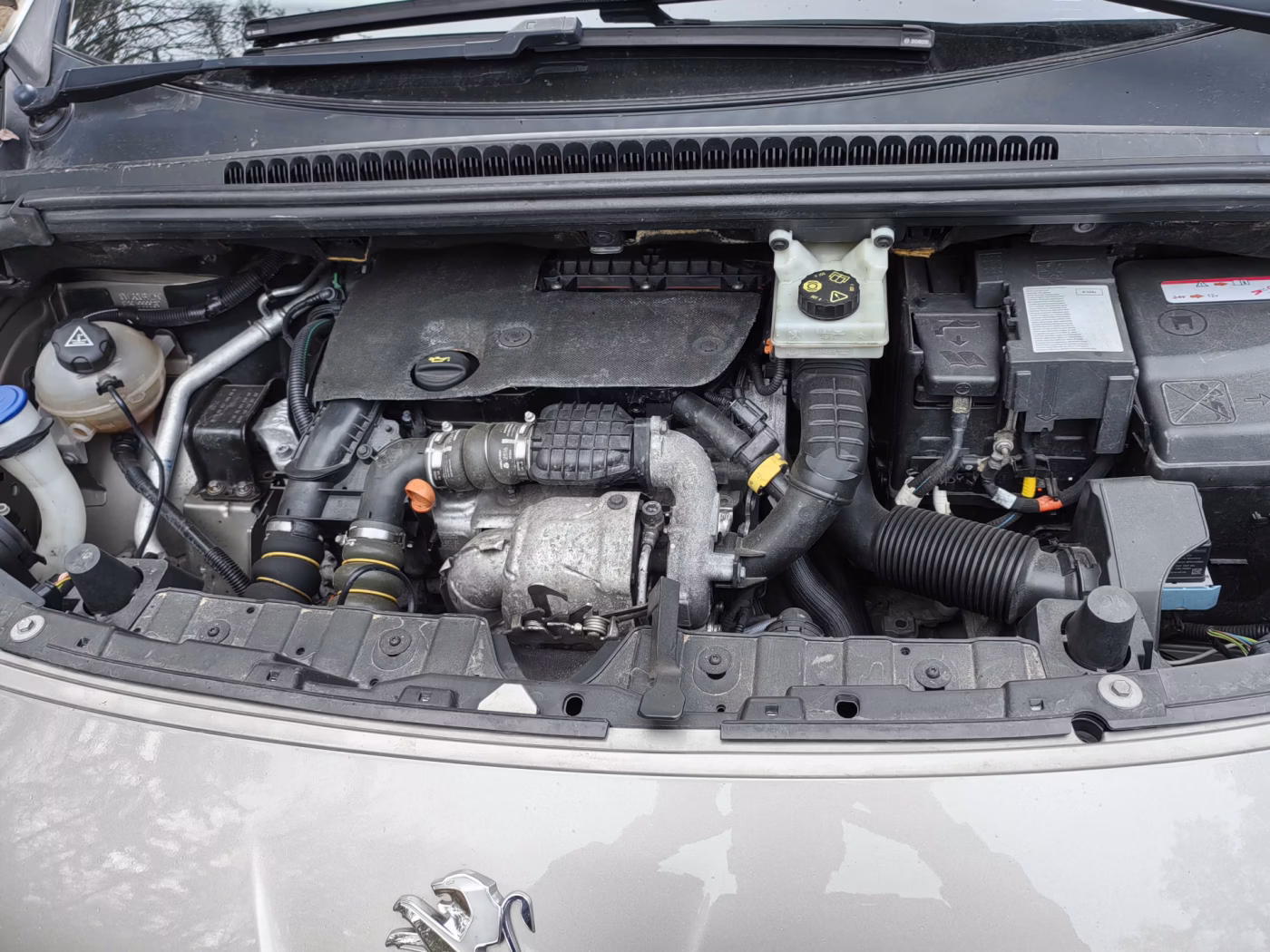 Peugeot 3008 фото 11