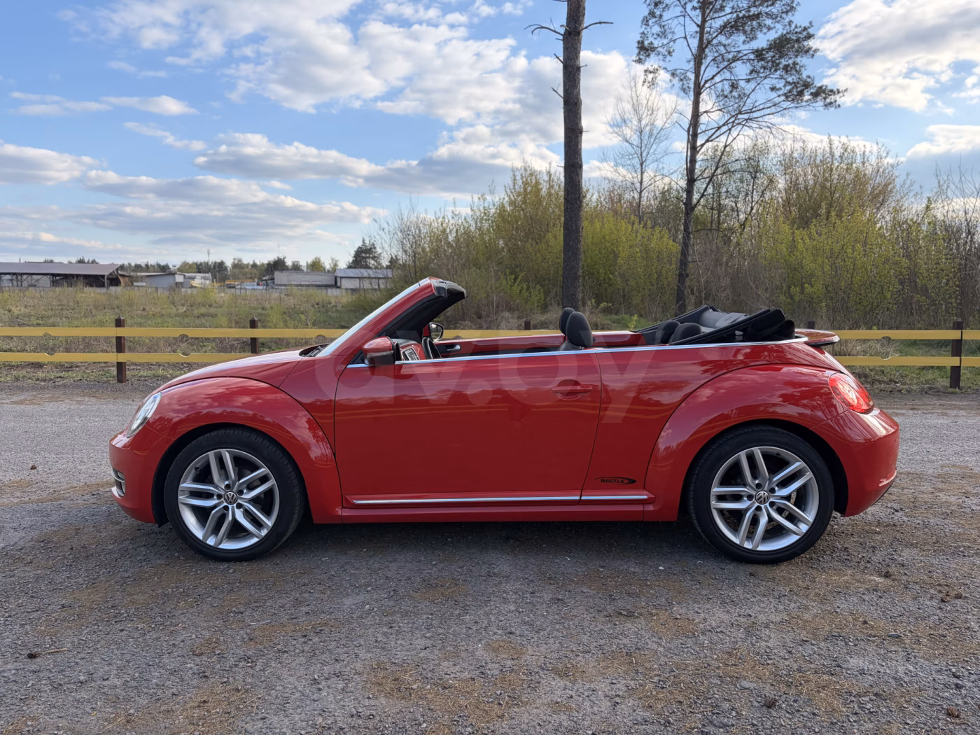 Volkswagen Beetle фото 16