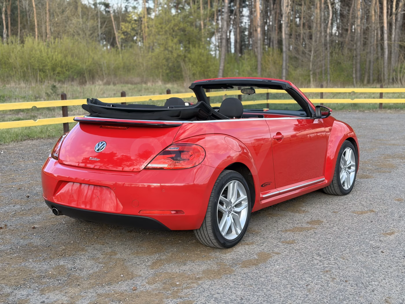 Volkswagen Beetle фото 18