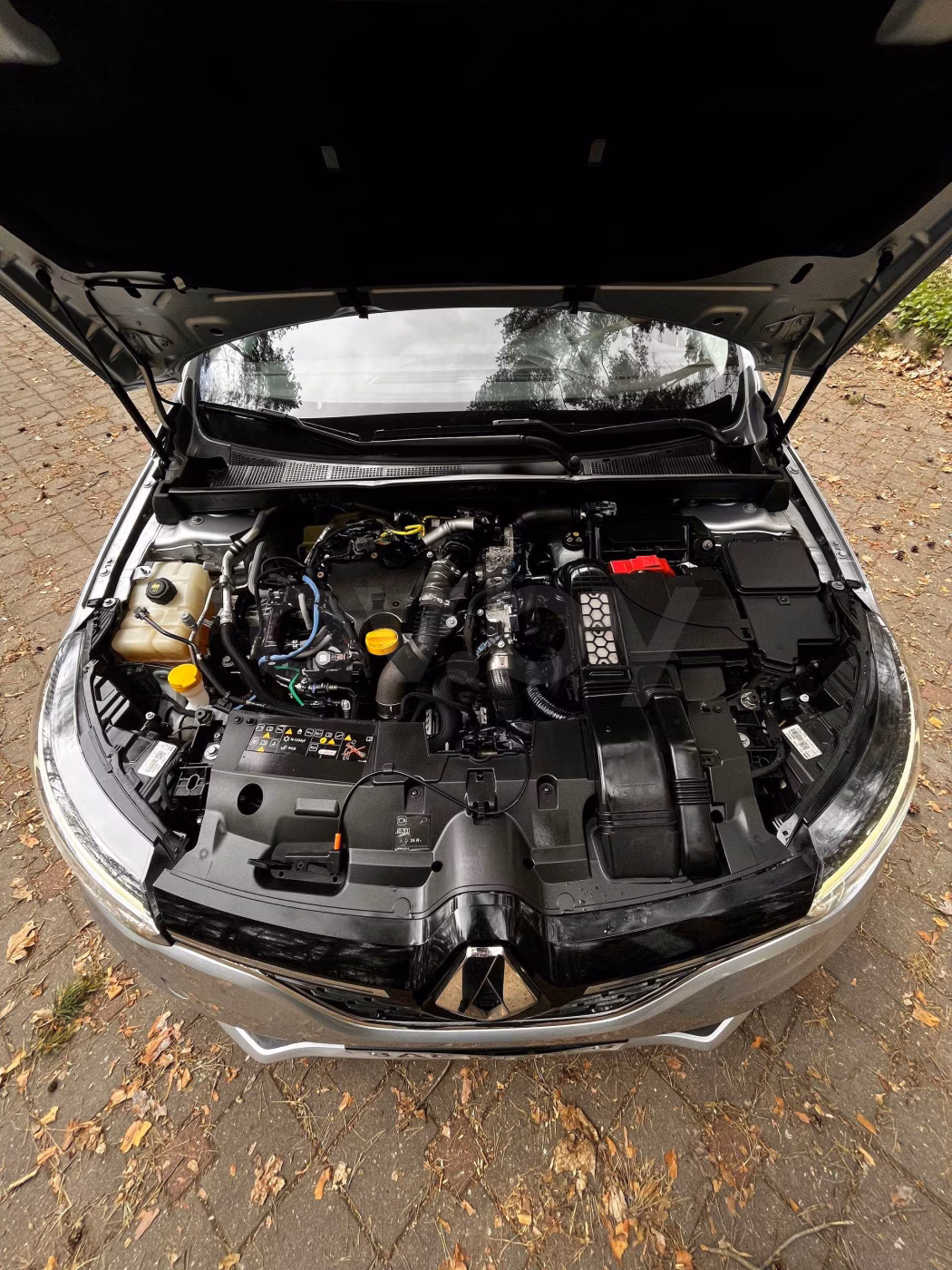 Renault Megane фото 15