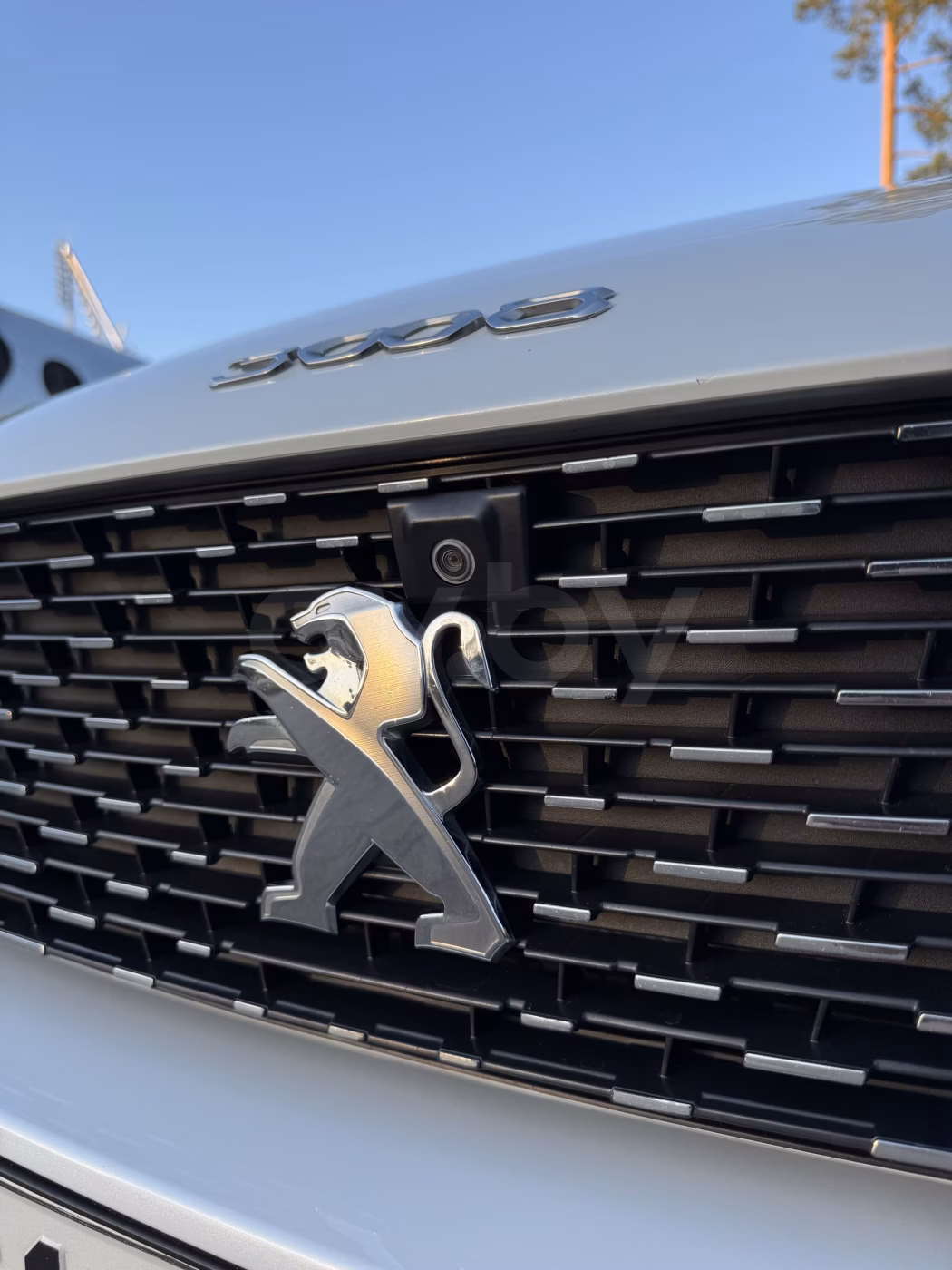 Peugeot 3008 фото 14