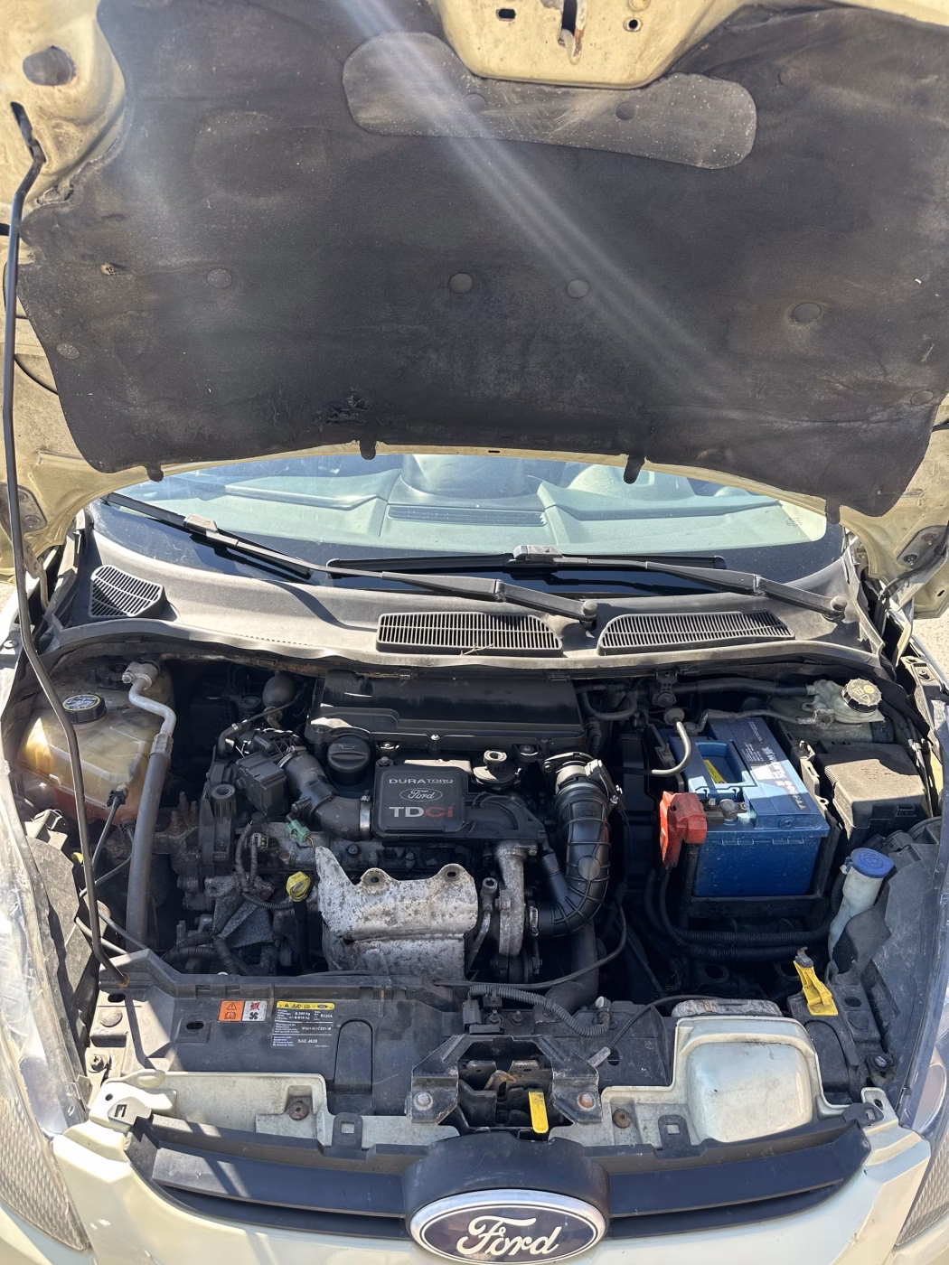 Ford Fiesta фото 19