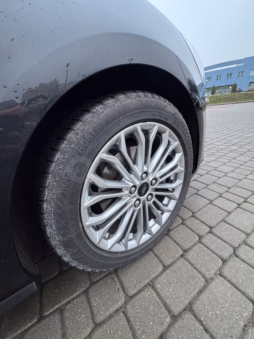 Ford Focus фото 11