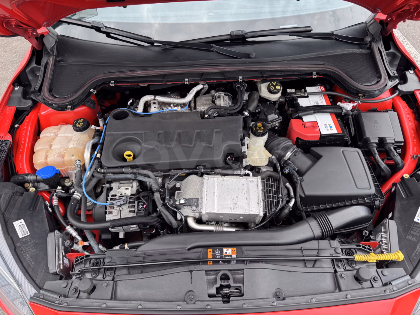 Ford Focus фото 25