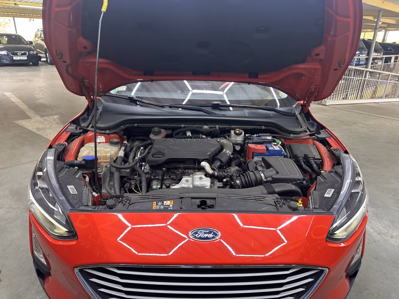Ford Focus фото 30