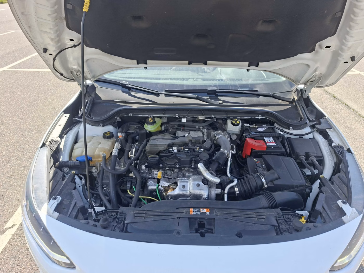 Ford Focus фото 9