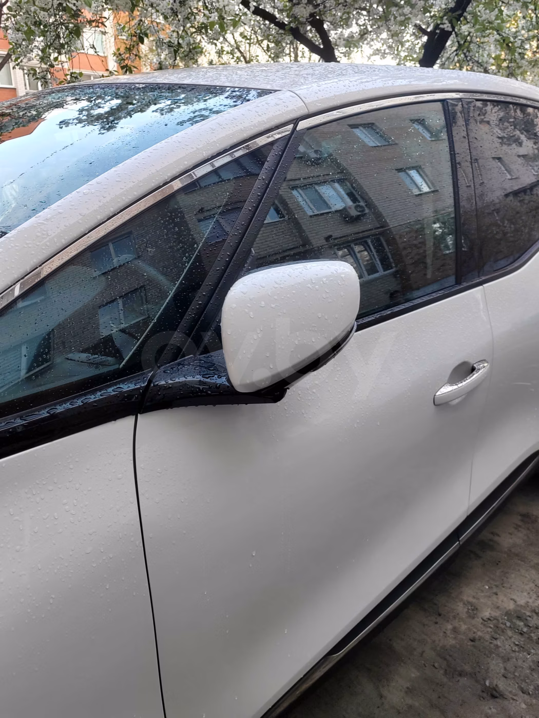 Renault Scenic фото 4