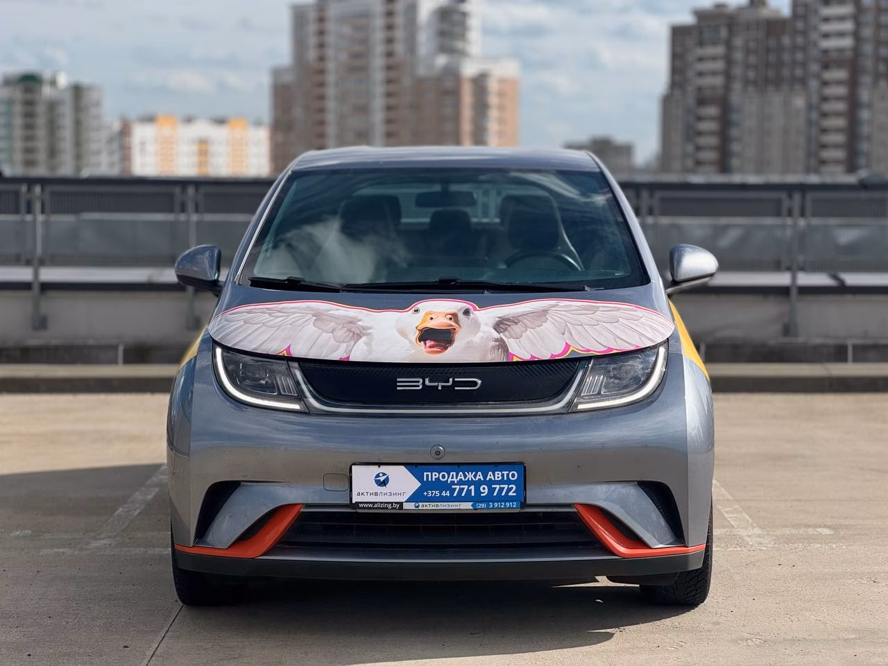 BYD Dolphin фото 2
