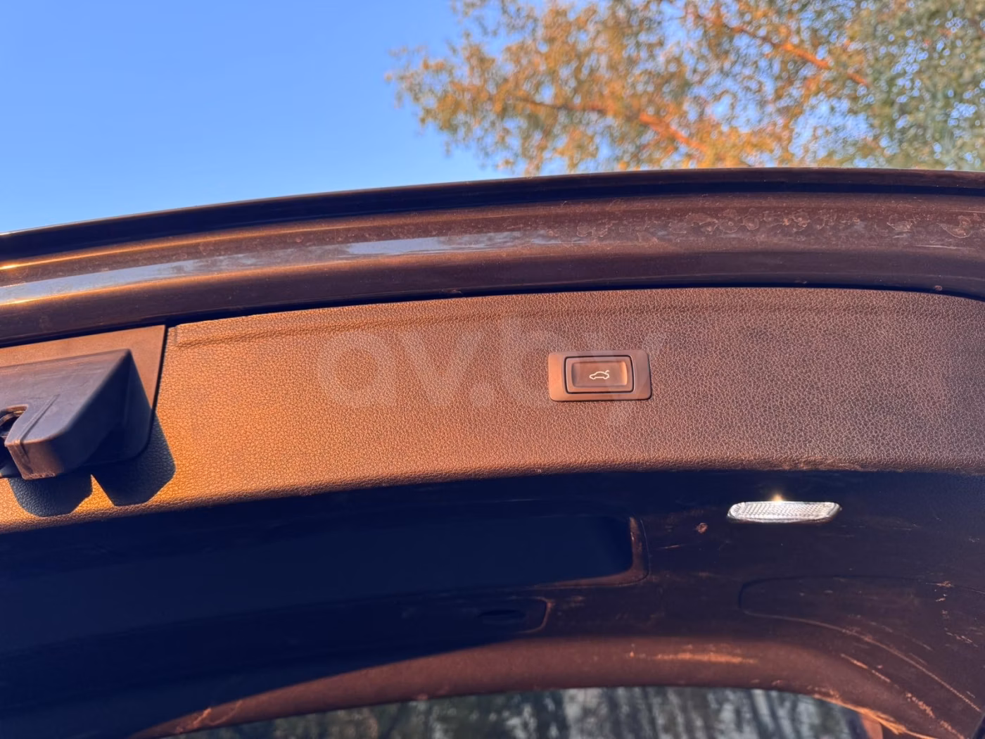 Audi Q5 фото 8