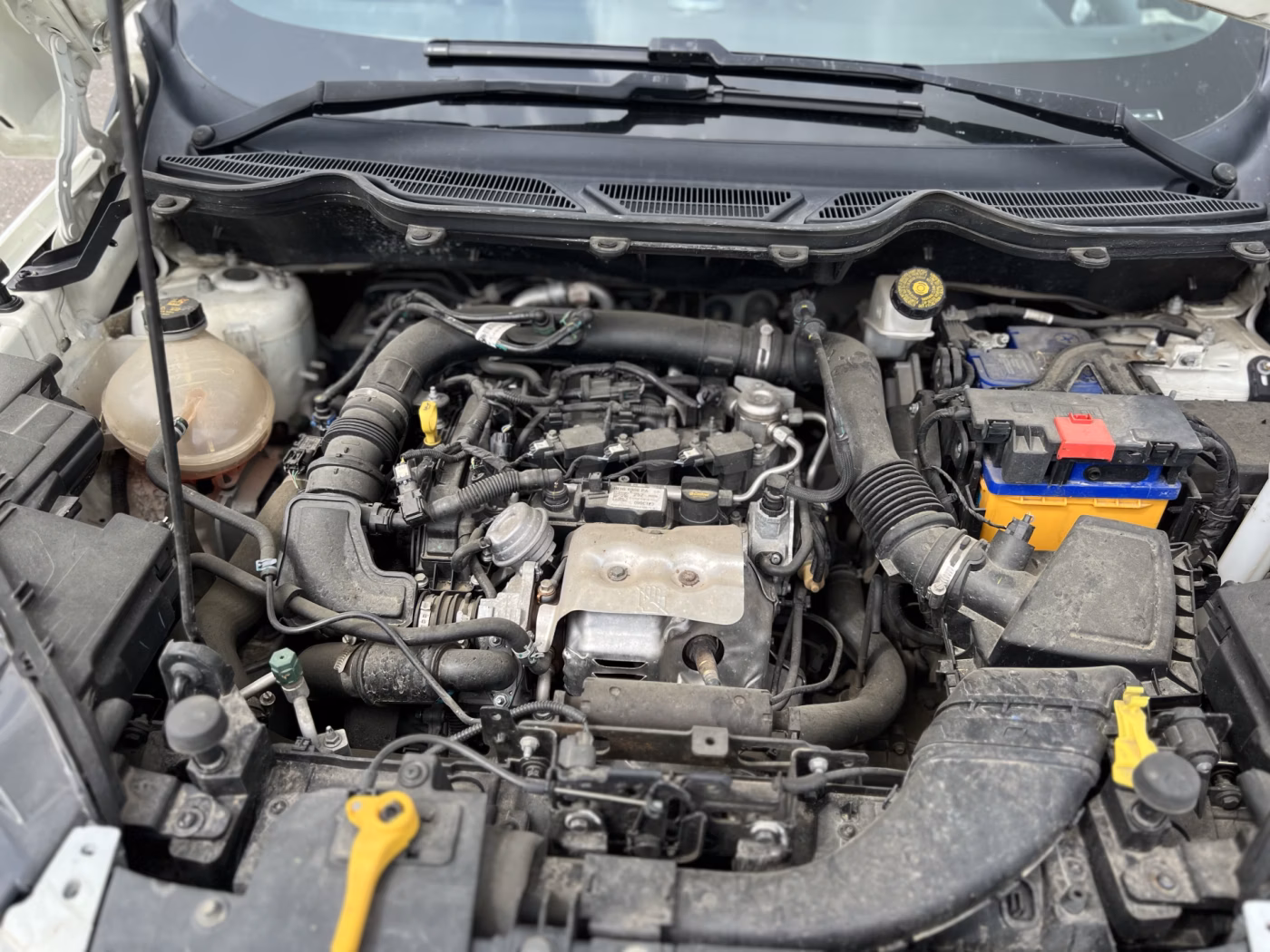 Ford EcoSport фото 22