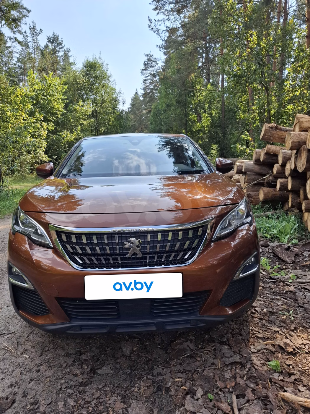 Peugeot 3008 фото 22