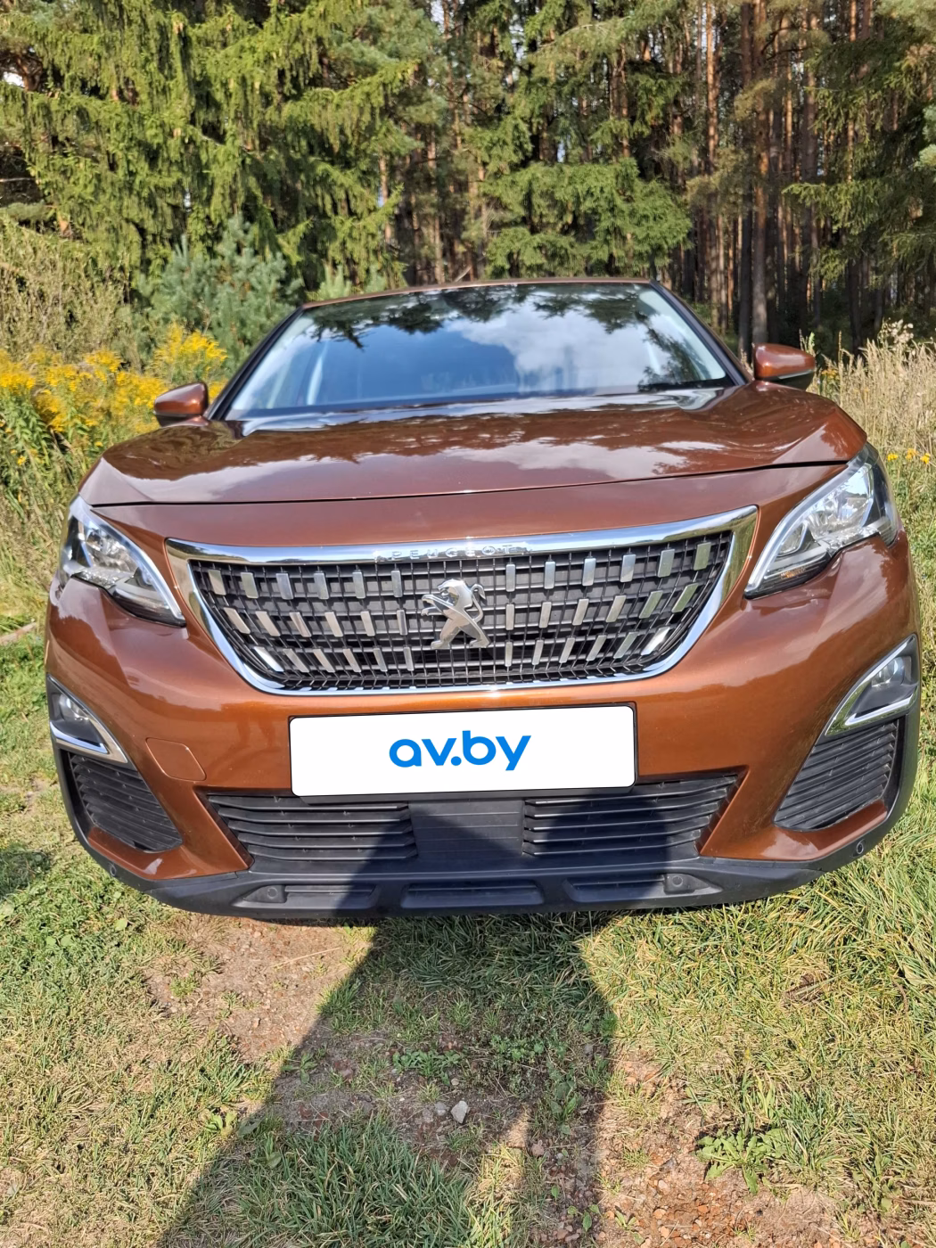 Peugeot 3008 фото 19