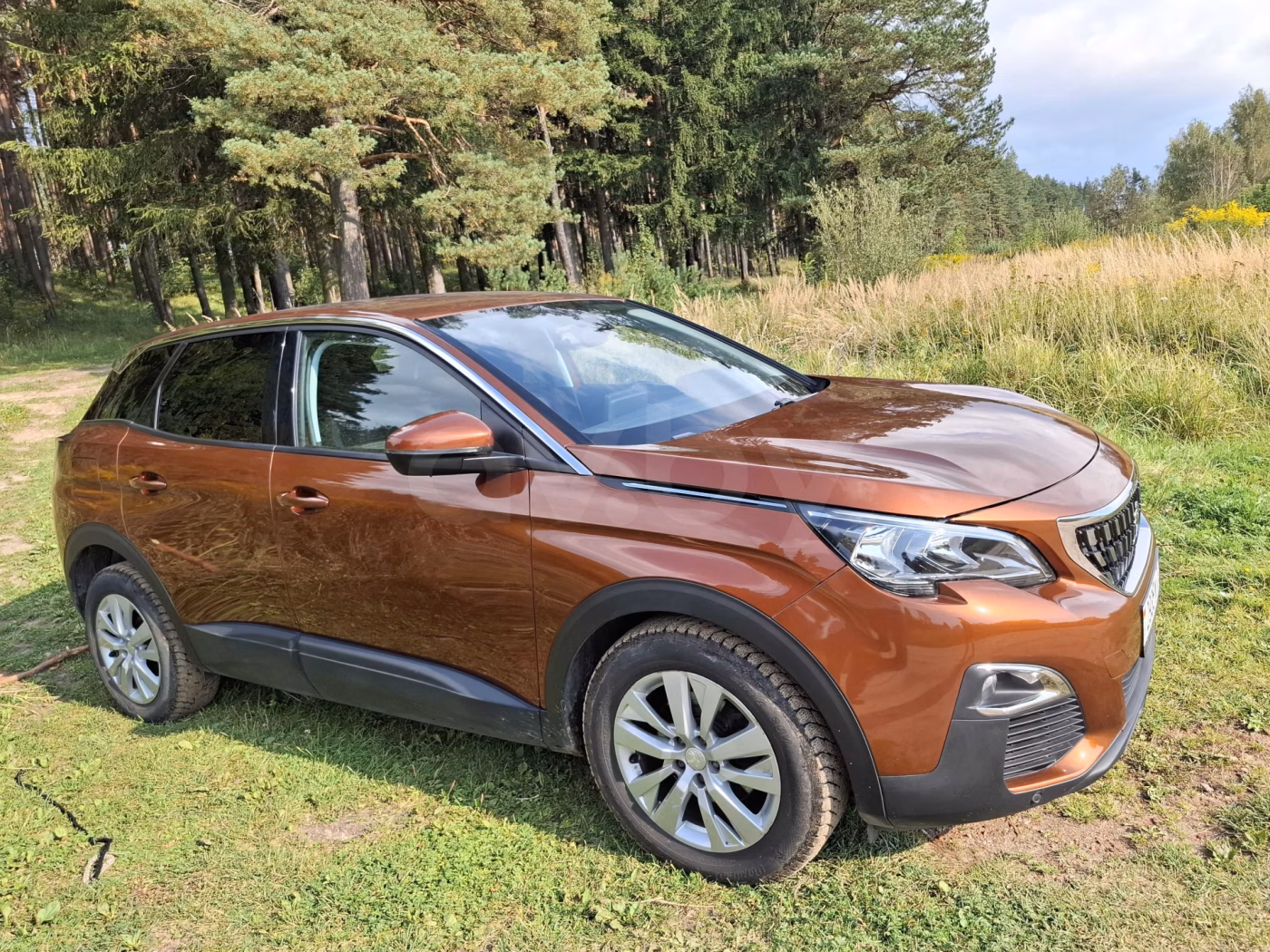 Peugeot 3008 фото 20