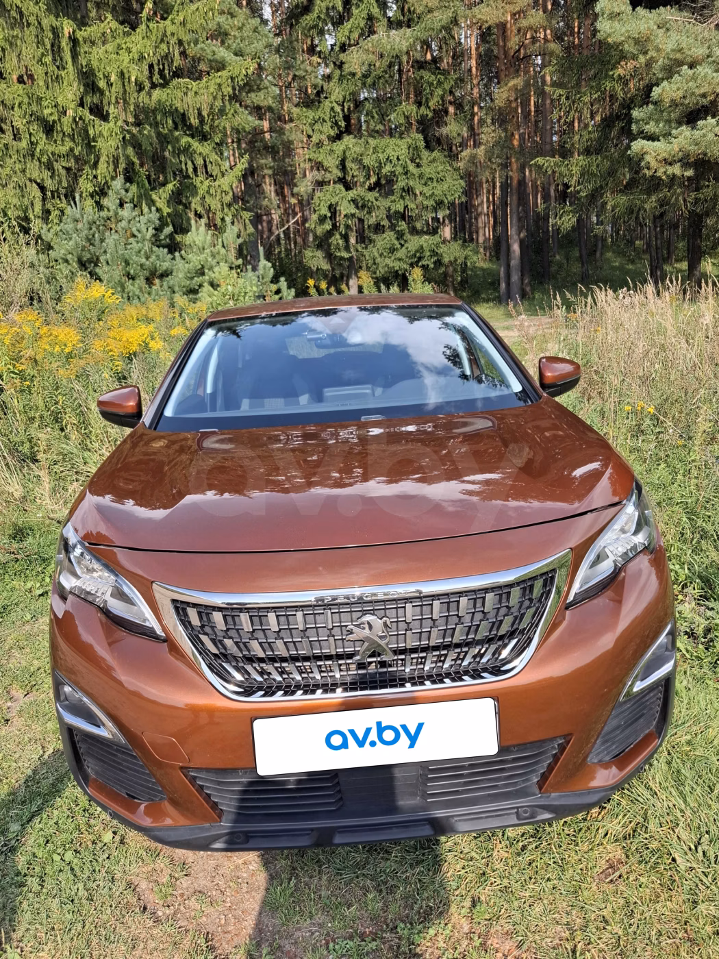 Peugeot 3008 фото 18