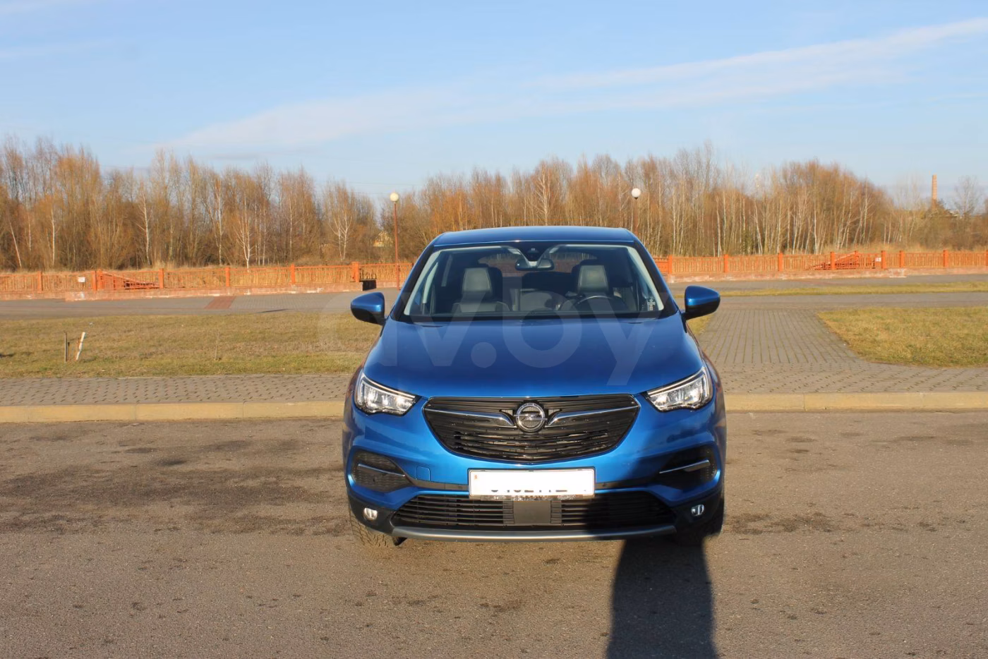Opel Grandland X фото 22