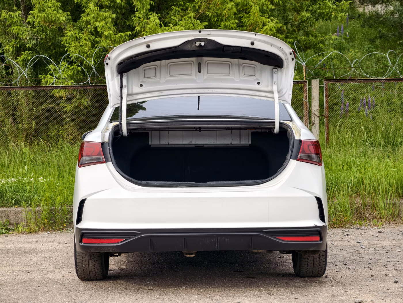Hyundai Solaris фото 8